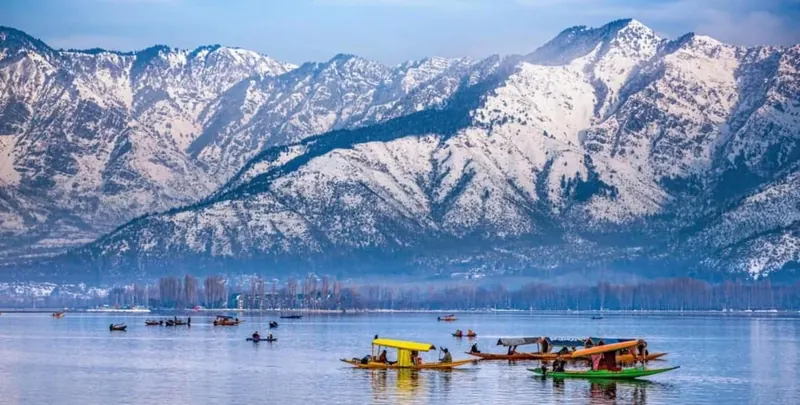 Shikaras on Dal Lake, Kashmir