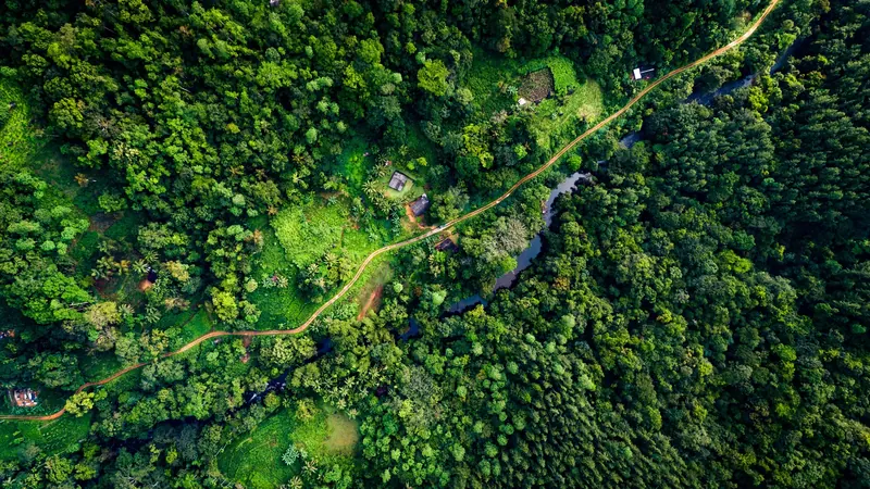 Sri Lanka