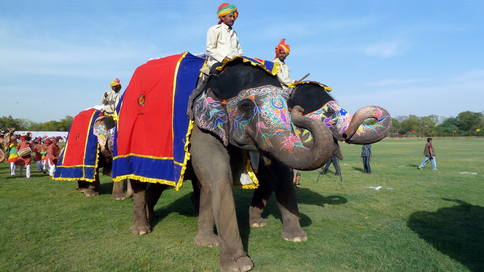 Jaipur Elephant Festival 2025