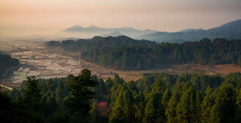15. Ziro Valley, Arunachal Pradesh