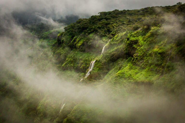 10. Mahabaleshwar, Maharashtra – Fields of Strawberries and Cascading Waterfalls
