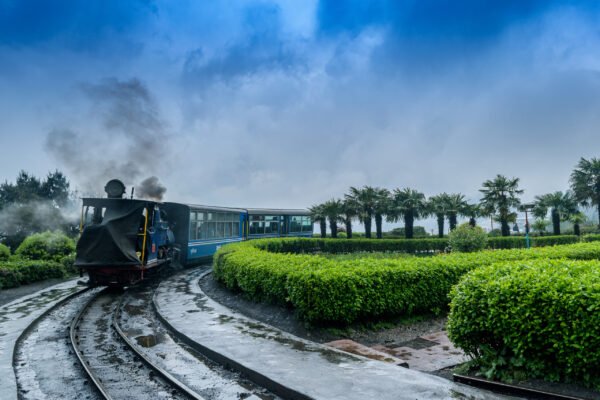 Tea gardens of Darjeeling