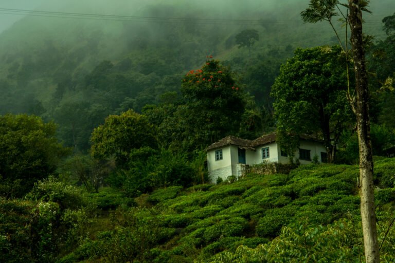 Wayanad