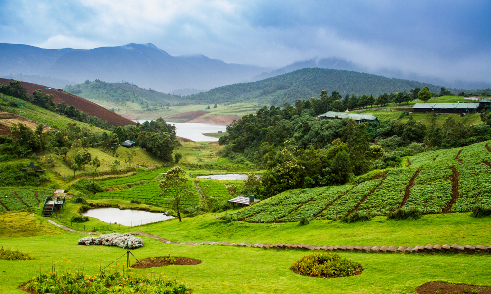 Ooty