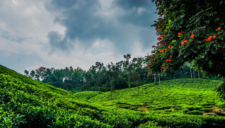 Chikmagalur