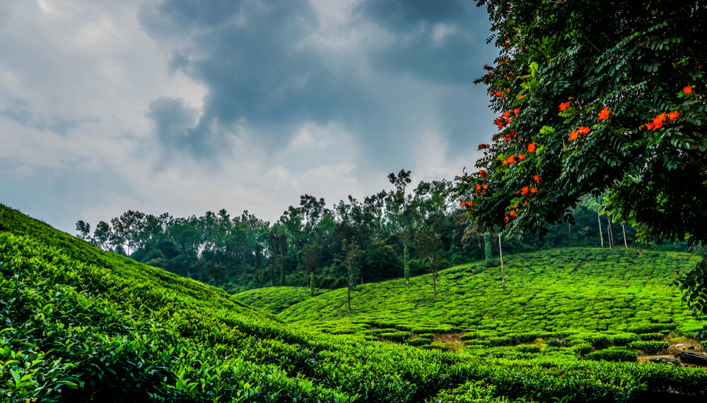 Chikmagalur