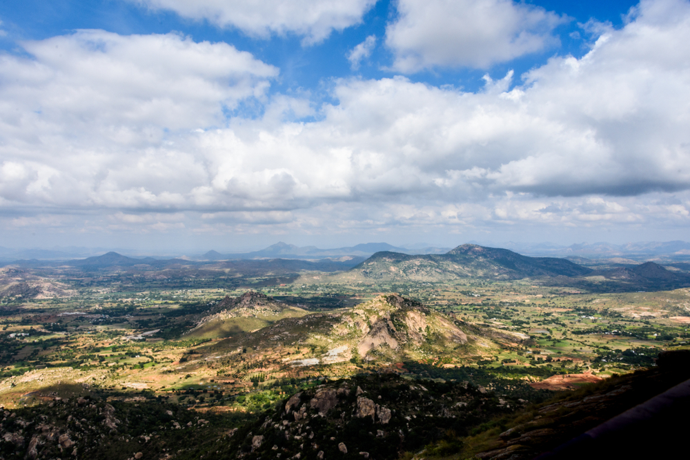 Horsley Hills