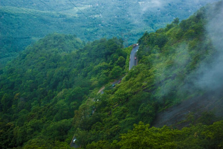 1. Munnar, Kerala – The Green Paradise of South India 🌿🌄