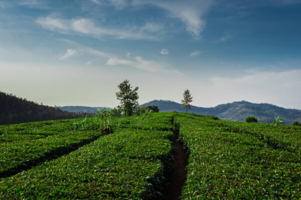 20 Best Places to Visit in Summer in India with Family