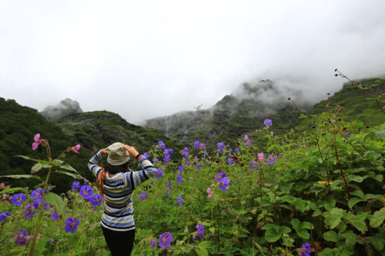 Valley of Flowers