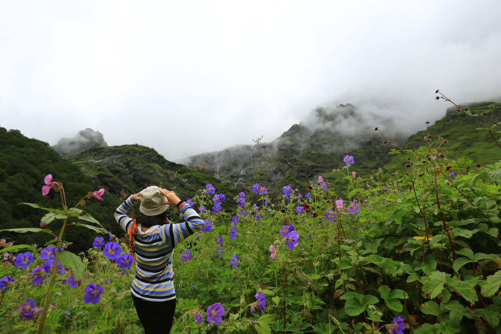 Valley of Flowers