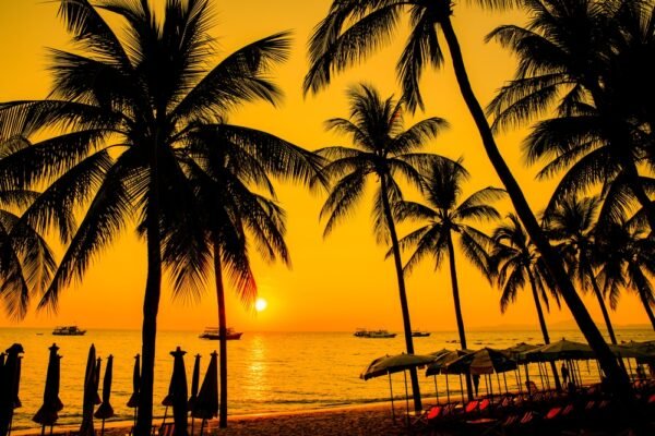 20 Best Places to Go in June in India: Monsoon Magic & Cool Escapes!