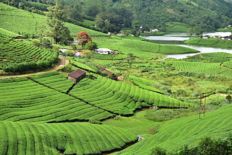 Meghamalai
