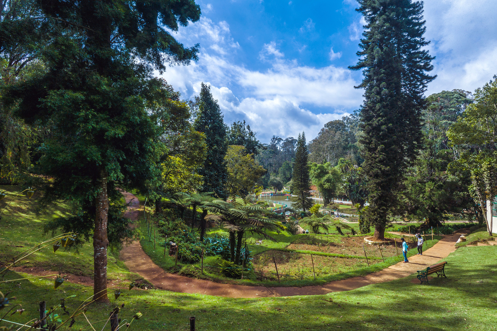 Coonoor