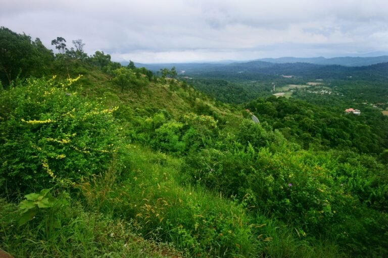 Agumbe
