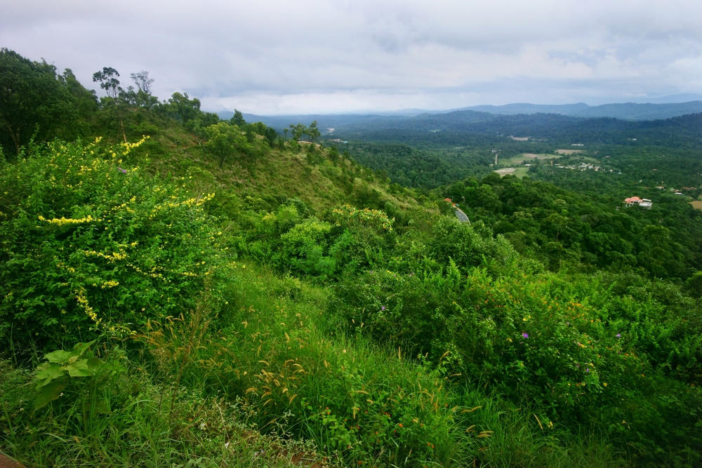 Agumbe