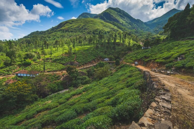 27 Best Places to Visit in India in May for a Summer Escape!