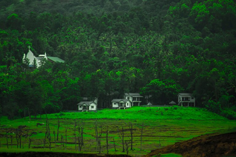 15. Wayanad, Kerala – A Tranquil Monsoon Escape