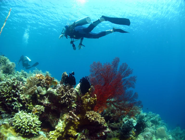Andaman Romantic Getaway – photo 2