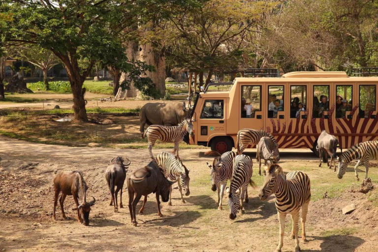 Bali safari and marine park