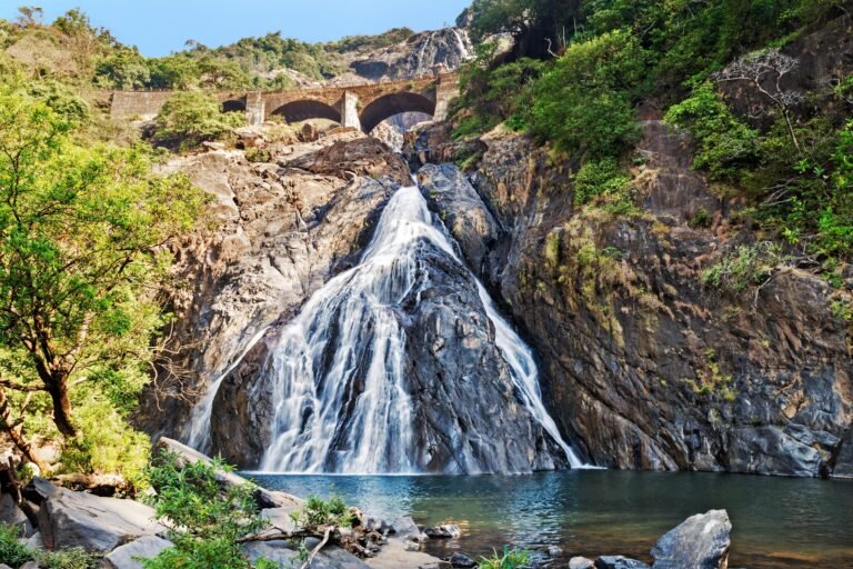 Day 4: Dudhsagar Waterfalls | Listen to the thunderous roar of cascading white water
