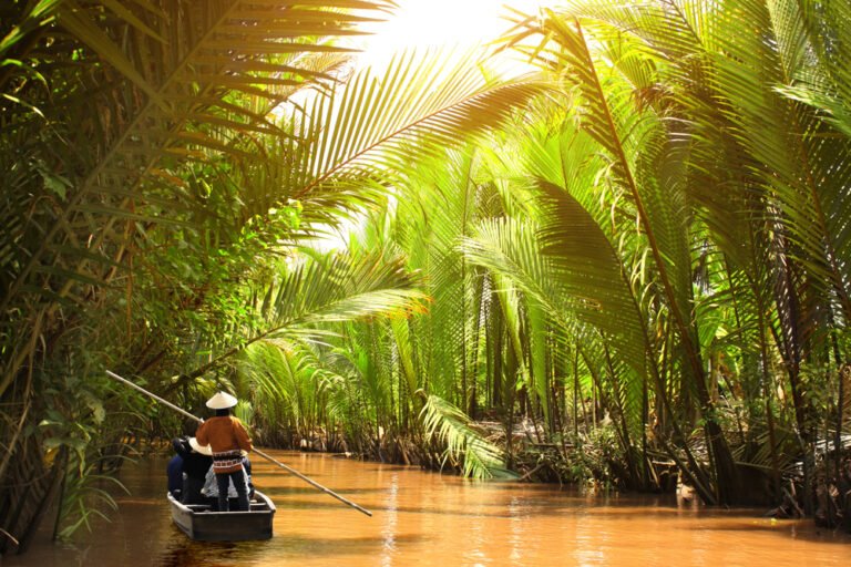 People,Boating,In,The,Delta,Of,Mekong,River,,Vietnam,,Asia