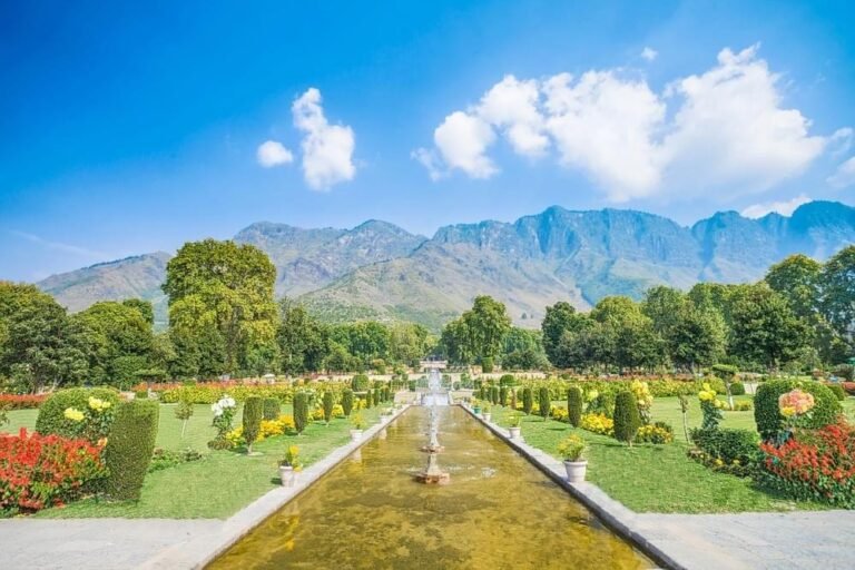 Day 2: Sightseeing in Srinagar | Stroll Through the Charming Mughal Gardens