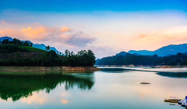 Day 3: Munnar Sightseeing Tour | Couple Photoshoot