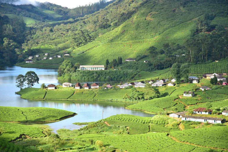 Day 1: Arrival in Kochi → Transfer to Munnar → En-route Sightseeing