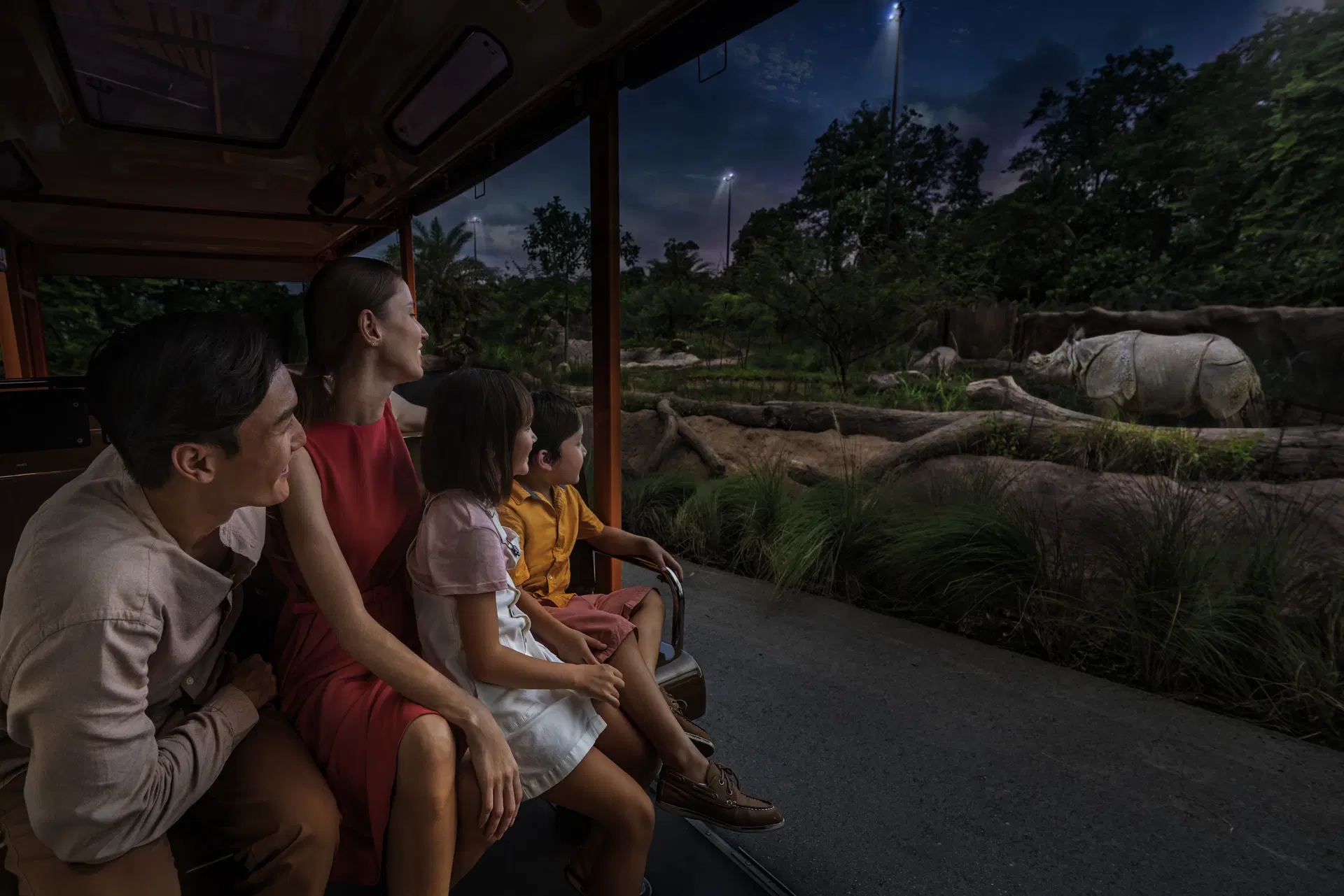 Night safari tram ride
