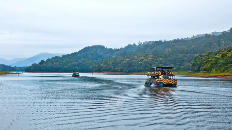 Day 3: Transfer to Thekkady → Thekkady Sightseeing Tour
