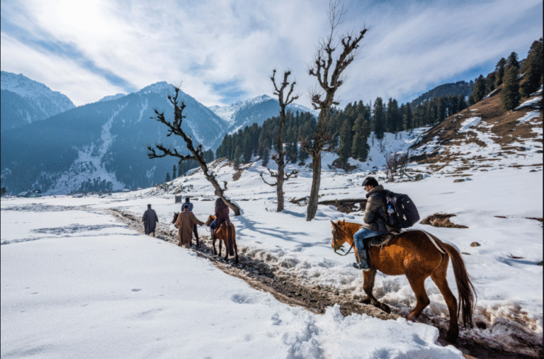 Day 2: Drive to Sonamarg
