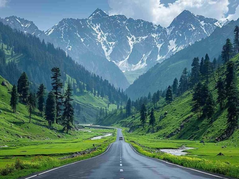 Day 3: Excursion to Sonamarg | Explore the Famed Golden Meadows