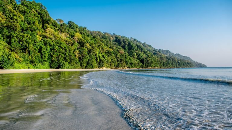 Day 4: Kala Pathar Beach Tour & Transfer to Neil Island