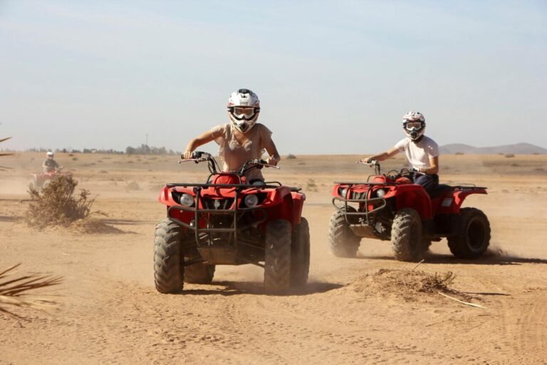 Day 3: Desert Safari Adventure with BBQ Dinner