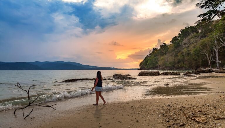 Day 5: Neil Island Sightseeing & Transfer to Port Blair