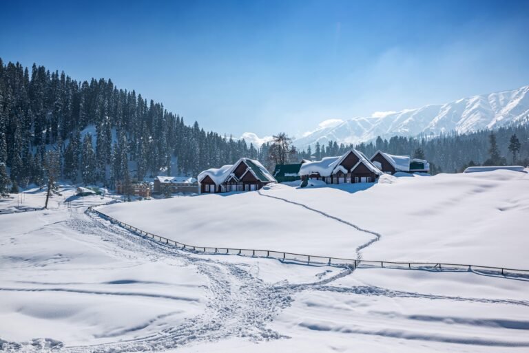 Day 5: Departure from Srinagar | Trip Concludes