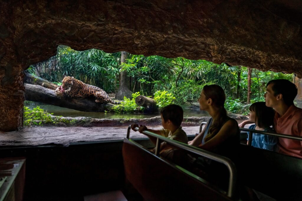 Singapore Highlights | Safari Adventures & Scenic Island Escapes – photo 1